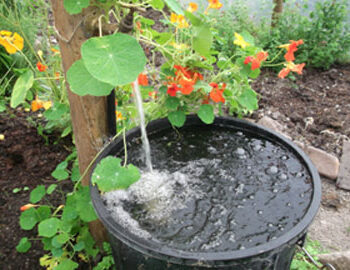 I Rise and Greet You