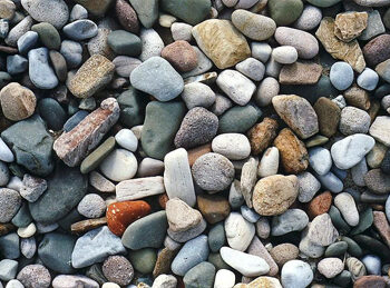 The Power of Stillness