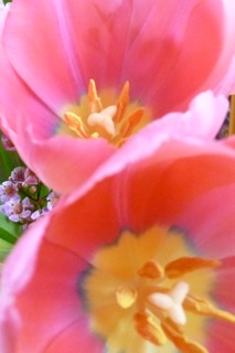 Working with Resistance