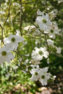 What happens when women lead