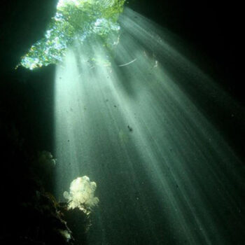 Working with the Sacred