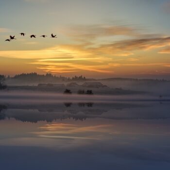 The Power of Silence