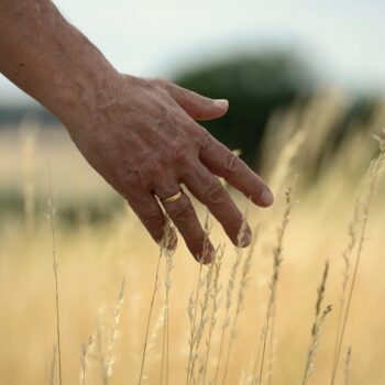 Waiting for Our Trust